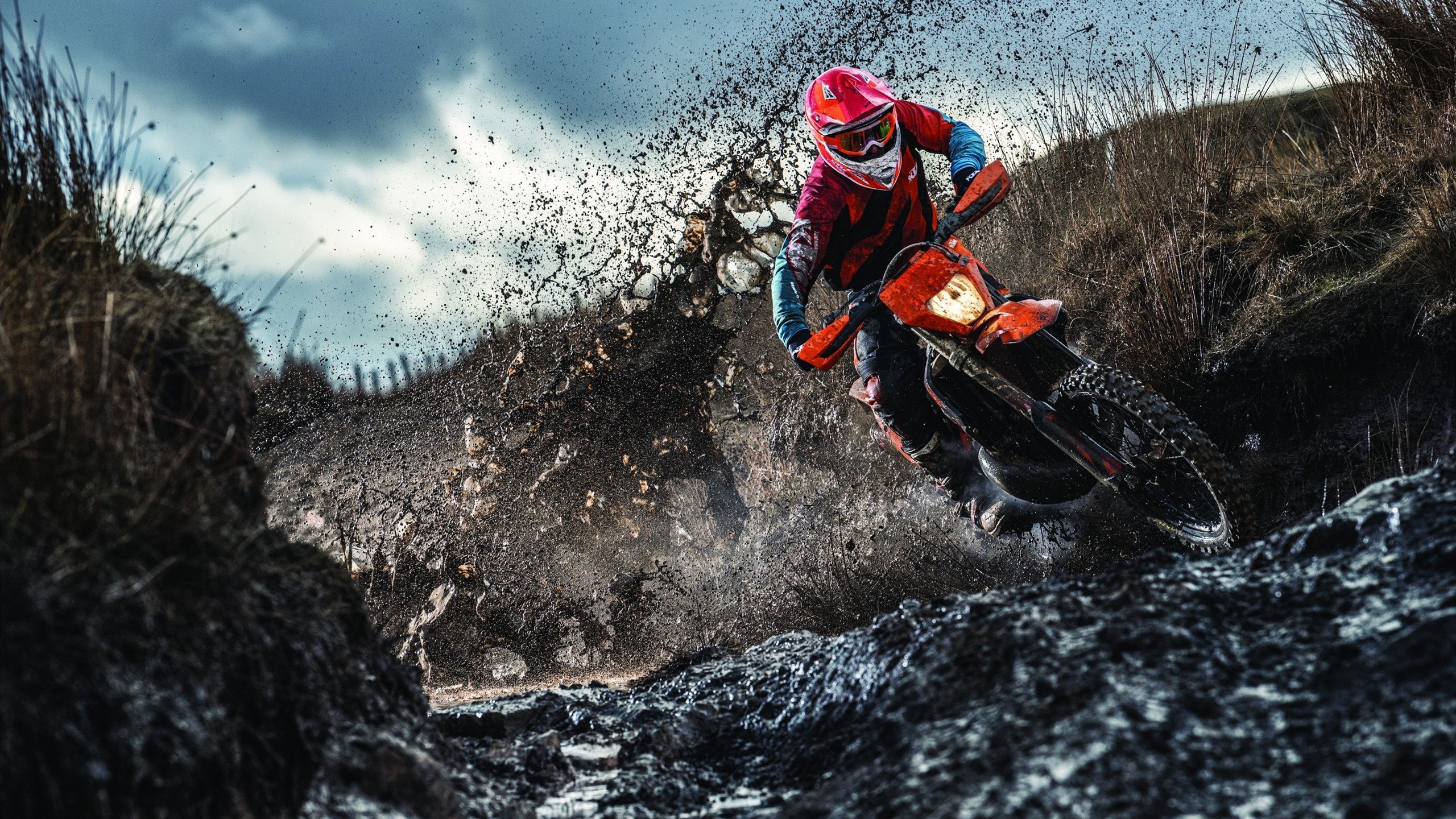 猛龙硬仗取胜公牛，戈贝尔攻防转换核心